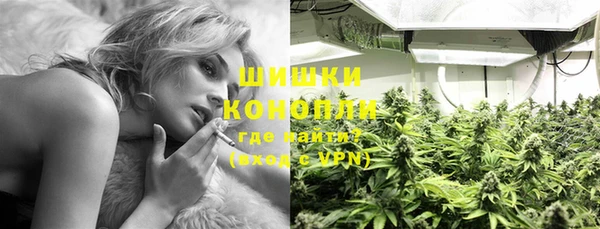 PSILOCYBIN Сосновоборск