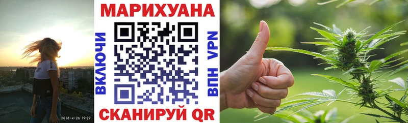 Конопля OG Kush  где найти   Бодайбо 